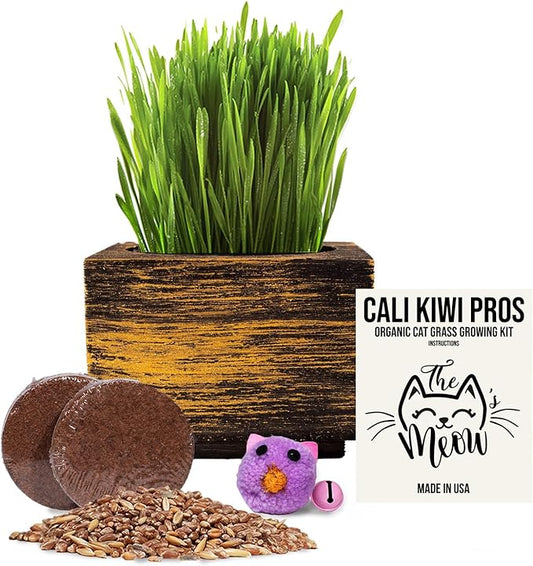 Cali Kiwi Organic Cat Grass Kit - Cat Grass for Indoor Cats with Cat Toy β Natural Hairball Remedy, Supports Digestion & Health, Single Planter (Black Gold)