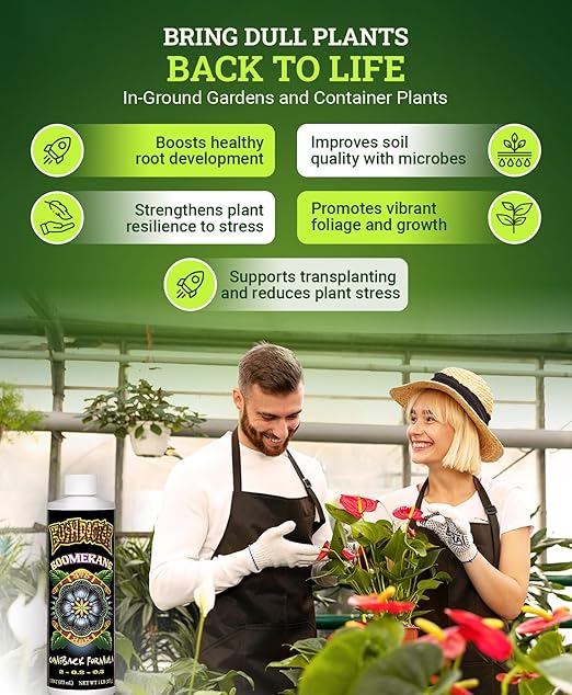 Fox Farm Bushdoctor Boomerang Fertilizer - for Fast Recovery of Stressed Plants, Root Health, Solubilized Nutrition - Perfect for Hydroponic & Soil Application- NPK 2-0.2-0.3, (Pint)
