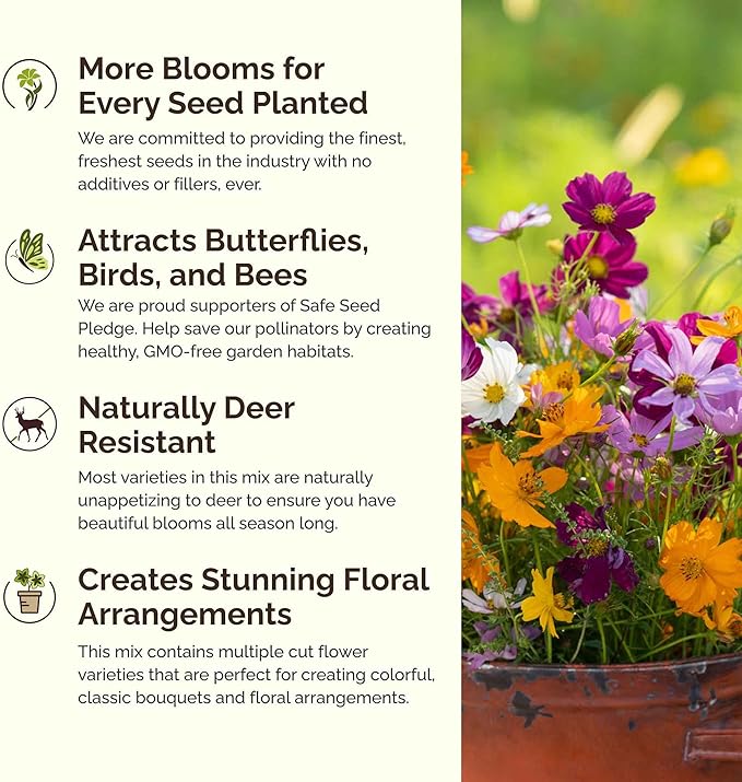 Eden Brothers Florida Wildflower Mixed Seeds for Planting, 1 oz, 30,000+ Seeds with Cornflower, Cosmos, African Daisy | Attracts Pollinators, Plant in Spring or Fall, Zones 3, 4, 5, 6, 7, 8, 9, 10