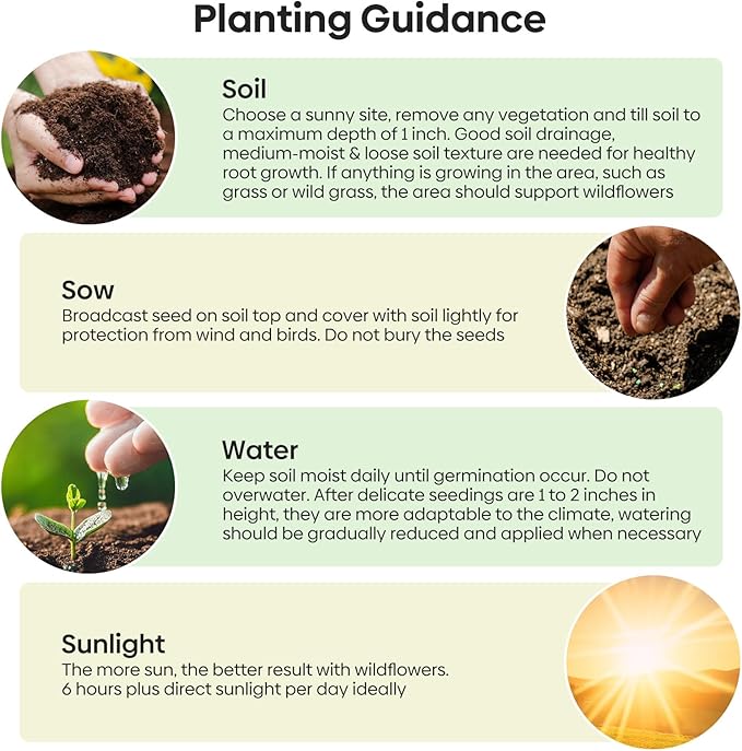 Wildflower Seeds Bulk, 4 Oz, 100,000+ Seeds, 26 Variety Flowers Seeds Mix Seeds for Planting, Annual Perennial Butterfly Garden Seeds for Attracting Birds and Bees