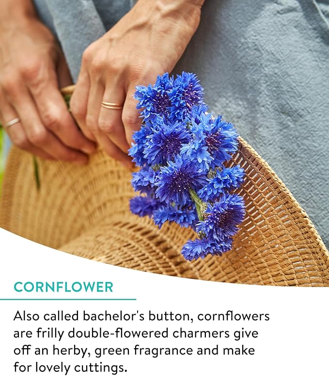 Burpee Wildflower Seeds Cutting Mix | 25,000 Bulk Seeds, Multi, 1 Bag | 15 Varieties of Non-GMO Flower Seeds | Perennial Wildflower Seeds Pollinator Mix | Covers 1,000 Sq. Ft.