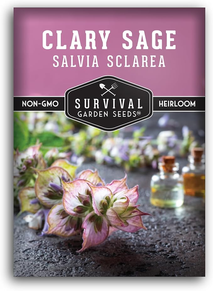 Survival Garden Seeds - Clary Sage Seed for Planting - 1 Packet with Instructions to Plant & Grow Salvia Sclarea Medicinal Herbs in Your Herbal Garden - Non-GMO Heirloom Variety