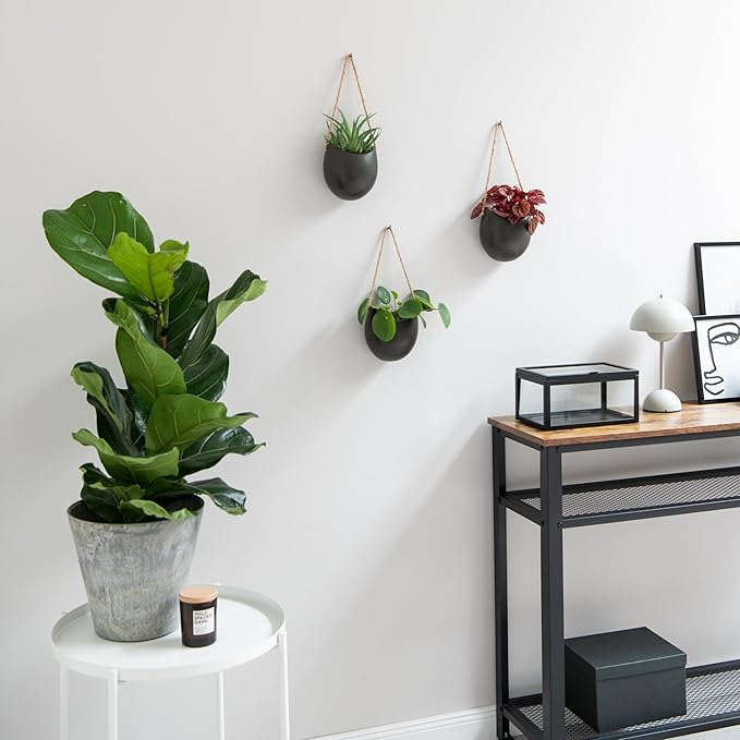 Wall Planters -Ellie- | Hanging Ceramic Plant Pots 3 Pieces | Wall Decoration for Indoors, Balcony and Garden | Graphite (Matte)