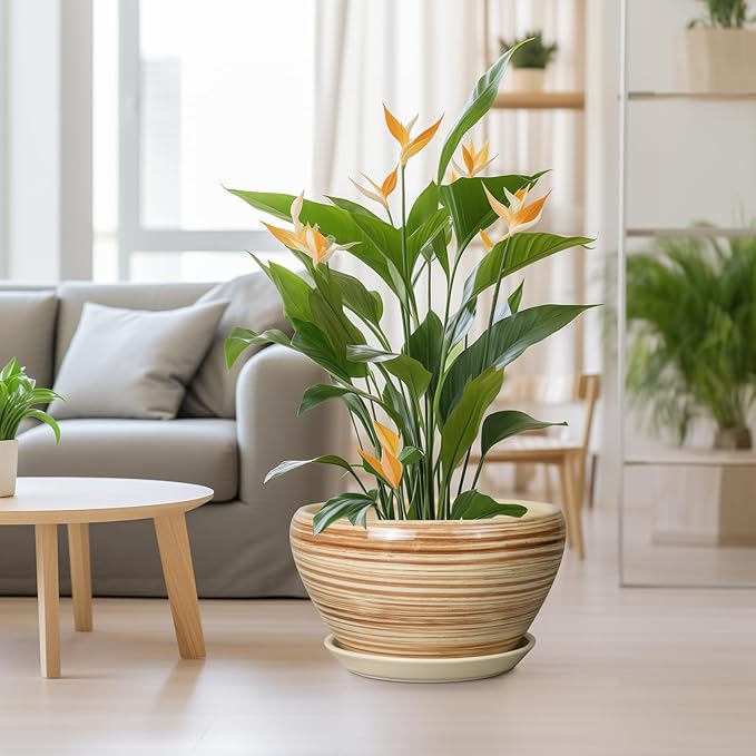 Ceramic Pot for Plants - 13 Inch Planter for Outdoor Plants Indoor Plant Pot with Drainage Hole and Saucer Large Planter Round Flower Pot for House Patio Garden Decor Yellow