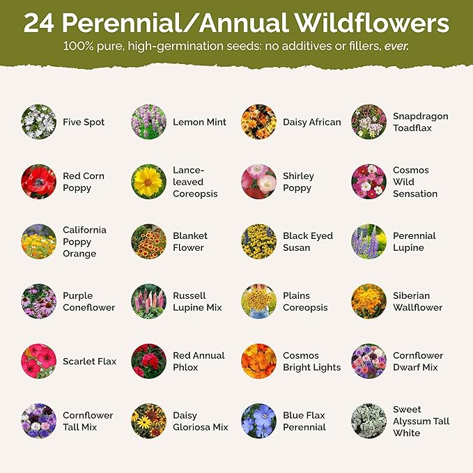 Eden Brothers Southeast Wildflower Mixed Seeds for Planting, 25 lb, 12,000,000+ Seeds with Cornflower, Blanket Flower | Attracts Pollinators, Plant in Spring or Fall, Zones 3, 4, 5, 6, 7, 8, 9, 10