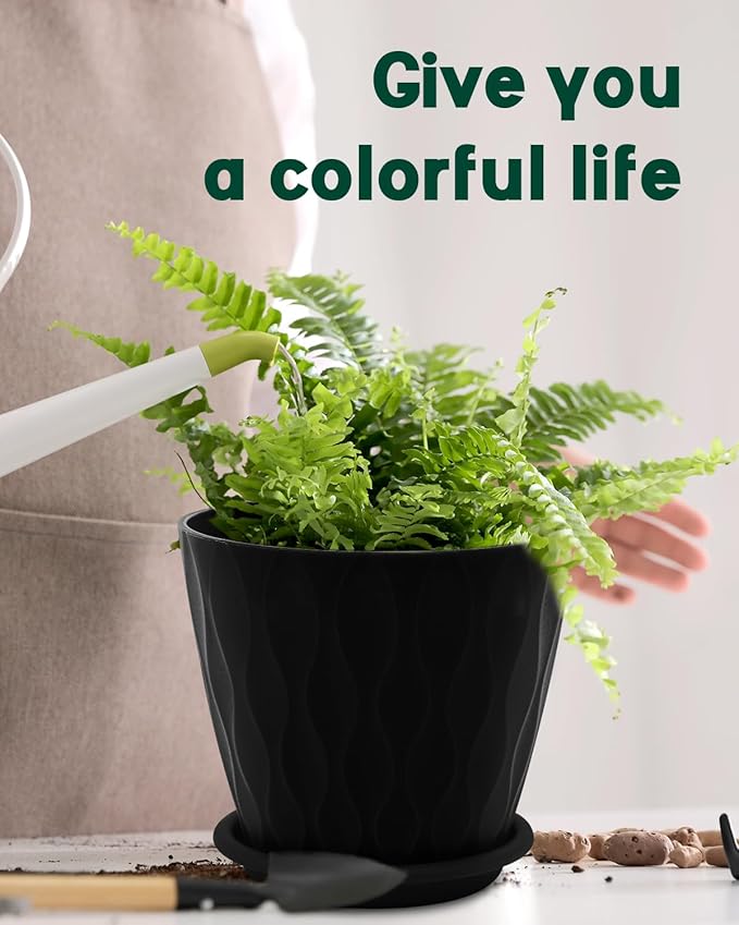 6 Inch Indoor Planter Pots with Drainage Hole and Tray Saucer,Flower Pots for Indoor Outdoor Garden Plants and Flowers, Multicolor, 5 Packs (Black)