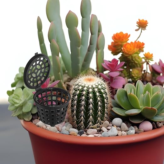 Happyyami 100PCS Portable Bonsai Fertilizer Box with Lid - Practical Fertilizer Container for Orchids and Succulents - Slow Release Bonsai Plant Food Gardening Tool (Black)