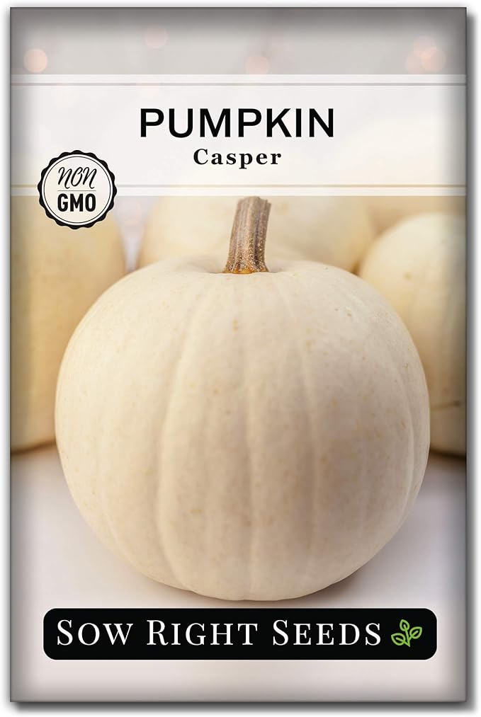 Sow Right Seeds - Casper Pumpkin Seed for Planting - Non-GMO Heirloom Packet with Instructions to Plant a Home Vegetable Garden - Striking White Variety - Autumn Decor or Unique Jack o Lanterns (1)