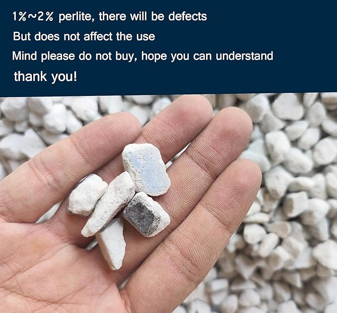 50 QT Professional Grade Horticultural Organic Vermiculite and Perlite (Large Size - Perlite, 50 QT)