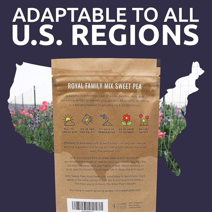 Sweet Pea Seeds Royal Mix - Bulk 1/4 Pound Bag - Over 1,400 Seeds - Large Fragrant Lavender, Purple, Red, Pink and White Blooms