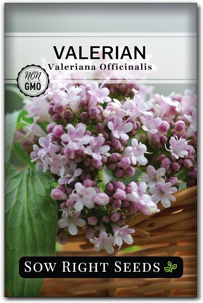 Sow Right Seeds - Valerian Seeds for Planting - Non-GMO Heirloom Packet with Instructions to Plant an Outdoor Herb Garden - Fragrant with Medicinal Benefits - Valerian Root for Sleep & Calm (1)
