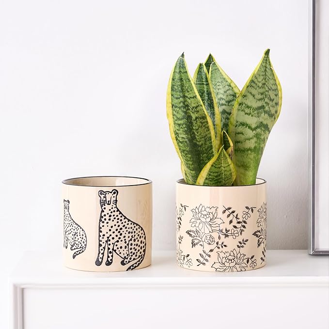 Indoor Ceramic Plant Pots with Drainage Holes 5 Inch Cute Succulent Flower Pots Small Orchid Planter Pots for Indoor Plants Garden Pots, Two Panthers