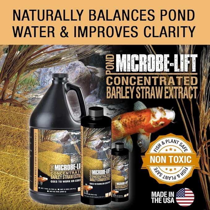 MICROBE-LIFT MLCBSE500 Concentrated Barley Straw Extract Conditioner for Ponds and Outdoor Water Garden, Safe for Live Koi Fish, Plants, and Decorations, 16 Ounces