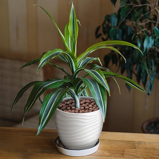 19LB Leca Balls for Indoor Plants, Expanded Clay Pebbles for Plants, Orchid Potting Mix, Soil Amendment, Drainage, Easy Reusability, 4-16mm