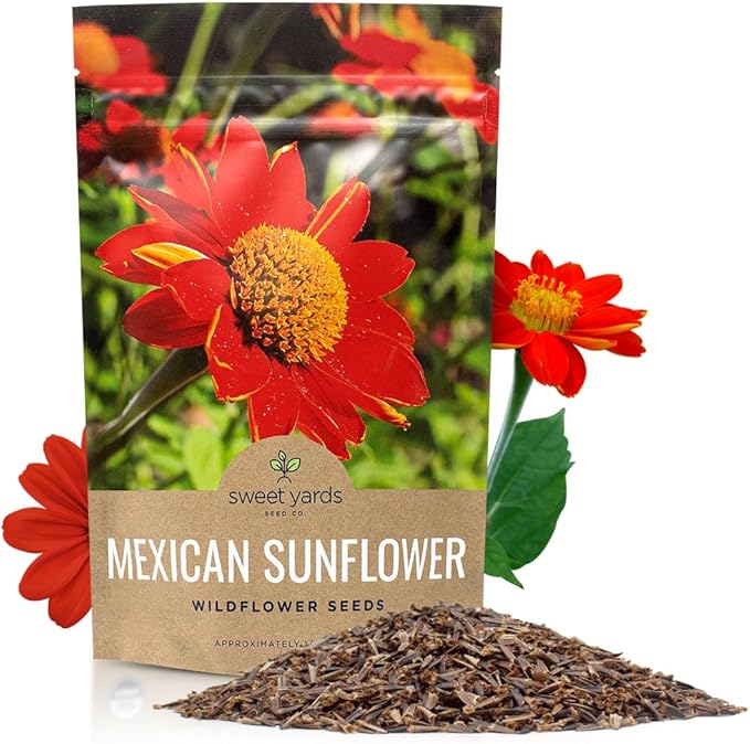 Mexican Sunflower Seeds – Bulk Quarter Pound Bag – Over 10,000 Open Pollinated Non-GMO Wildflower Seeds – Tithonia rotundifolia