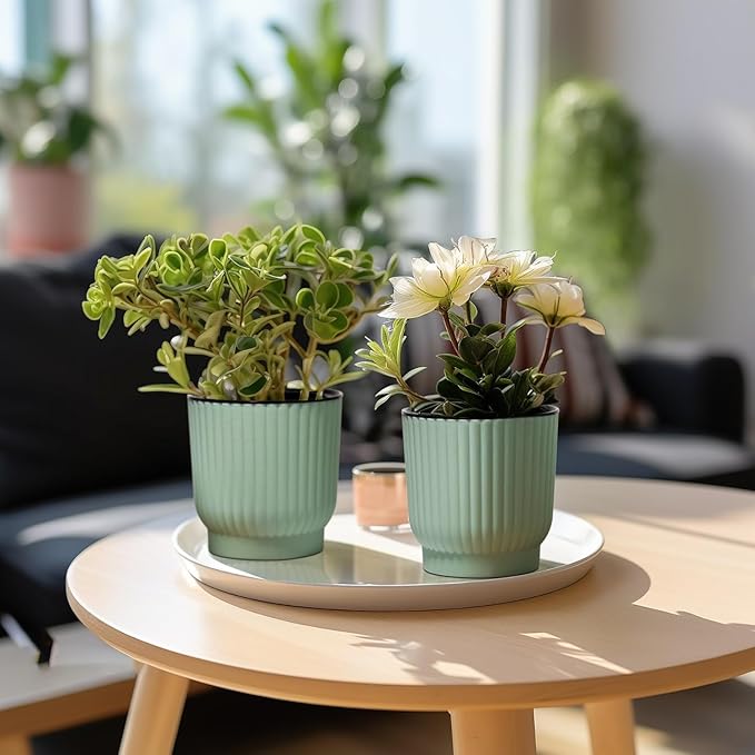 T4U 4.5 Inch Self Watering Pots for Indoor Plants, 6 Pack Green Plastic Flower Pots for All House Plants, Flowers, African Violets