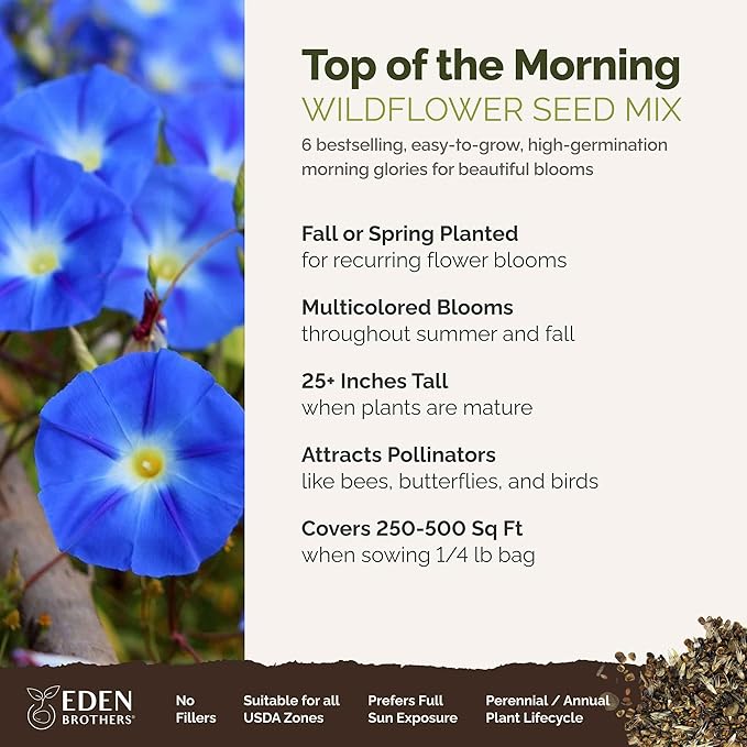 Eden Brothers Top O The Morning Flower Mixed Seeds for Planting, 1/4 lb, 120,000+ Seeds with Morning Glory, Moonflower | Attracts Pollinators, Plant in Spring or Fall, Zones 3, 4, 5, 6, 7, 8, 9, 10