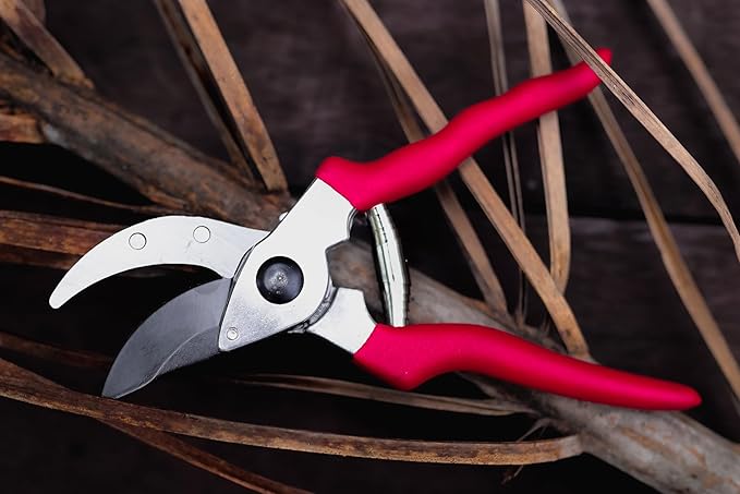 Raysbee Premium Plant Cutting 8' Professional Garden Bypass Pruner,Ergonomic,Rust-Resistant,Sharp Heavy duty Carbon Steel Blade, 1/2" Cutting, Non-slip Grip, Garden Scissors, Clippers, Shears