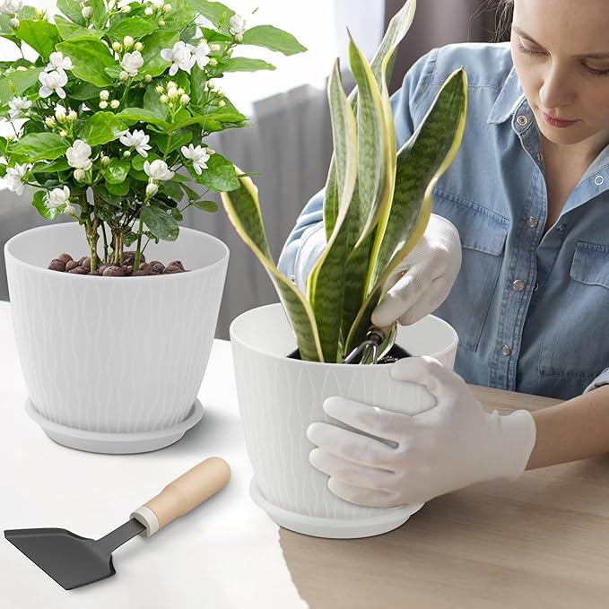 Plant Pots – 6 Inch Planters with Drainage Holes and Saucers, Flower Pots for Indoor and Outdoor Plants, Nursery Planting Pots (Pack of 5, White)