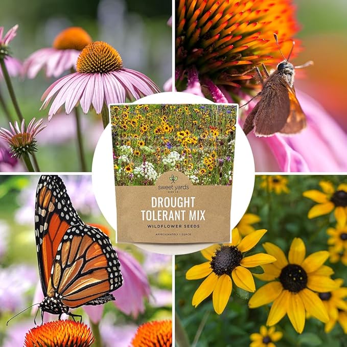 Drought Tolerant Wildflowers Mix – Extra Large Packet – Over 7,500 Open Pollinated Non-GMO Seeds – 21 Different Dryland Species