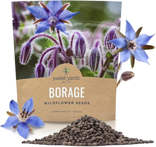 Borage Seeds – Extra Large Packet – Over 1,200 Open Pollinated Non-GMO Wildflower Seeds – Borago officianalis