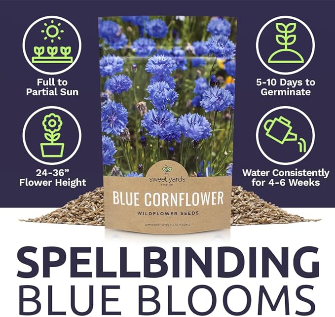 Blue Cornflower Seeds – Bachelor Buttons – Bulk Quarter Pound Bag – Over 20,000 Open Pollinated Non-GMO Wildflower Seeds – Centaurea cyanus