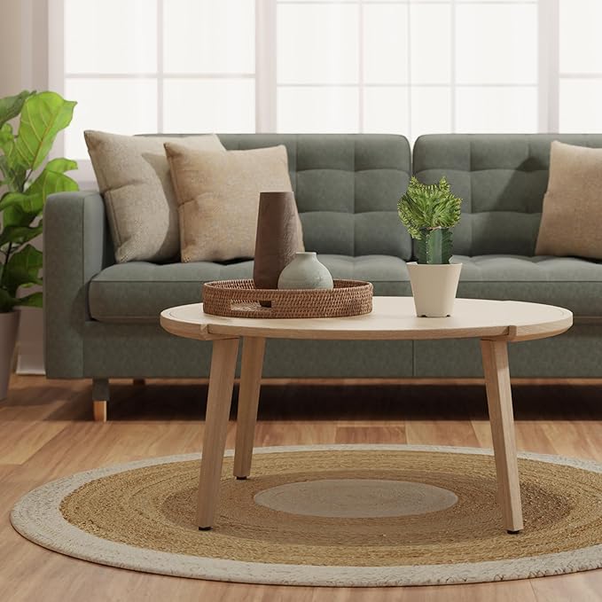 Arcadia Garden Products Live Mermaid Tail Cactus Indoor Houseplant in Plastic Pot, Euphorbia lactea Cristata Crested Coral Succulent Plant Gift for Home and Garden Decor, 4-inch, Green