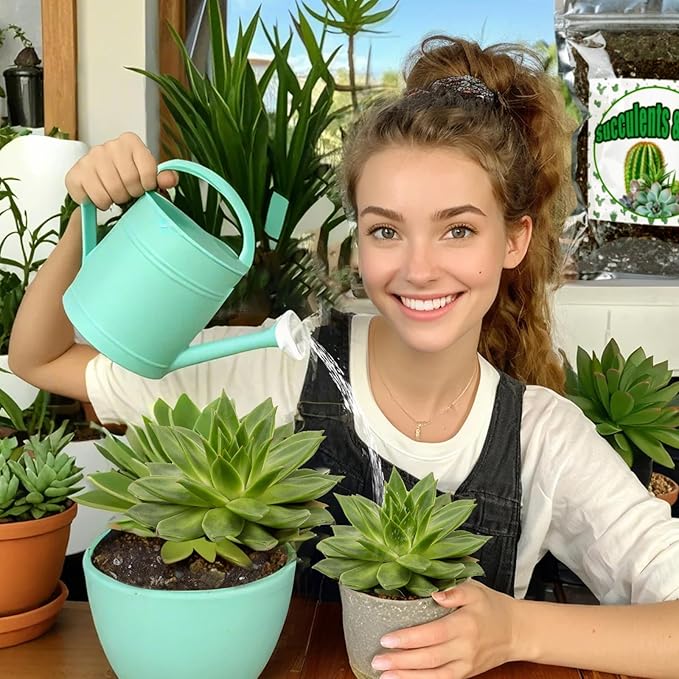 Cactus and Succulent Soil Potting Mix 4qt, Well Draining Chunky Soil Mix for Indoor Plants, Gritty Soil for Healthy Indoor Plants - Spike & Bloom