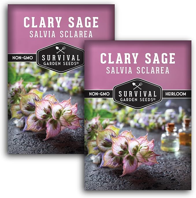 Survival Garden Seeds - Clary Sage Seed for Planting - 2 Packs with Instructions to Plant & Grow Salvia Sclarea Medicinal Herbs in Your Herbal Garden - Non-GMO Heirloom Variety