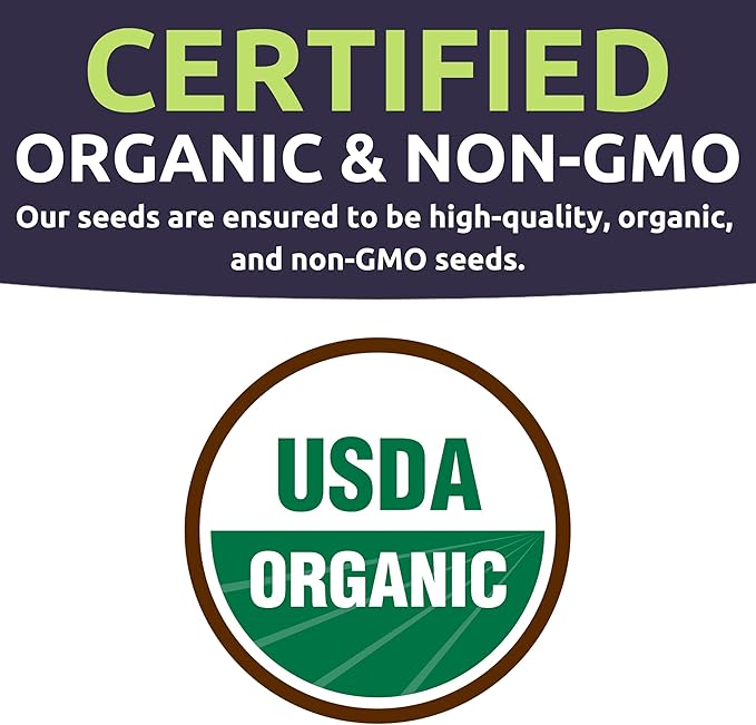 Organic Herb Seeds Variety Pack - 35 Individual Packs - 2025 Season - Basil, Cilantro, Dill, Thyme, Parsley and More! for Indoor & Outdoor Planting (Non-GMO, Certified Organic)