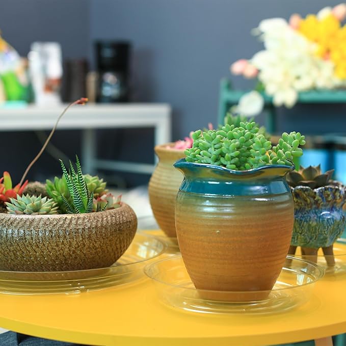 30 Pack Clear Plant Saucers for Indoors (4, 6, 8 inch) Flower Pot Saucers for Potted Plants Plant Plate Set Plant Trays for Indoors No Holes Plant Trays for Pots Plant Drip Trays Bulk