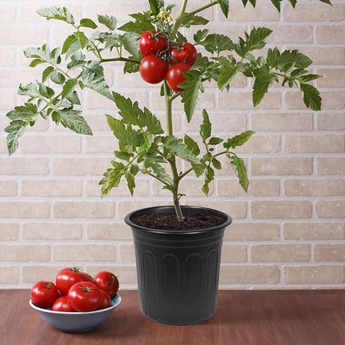 60-Packs 1 Gallon-S Flexible Plastic Plant Nursery Pots with 10 Pcs Plant Labels, Thickened Soft Seed Starting Container for Seedlings, Vegetables, Succulents and Cuttings