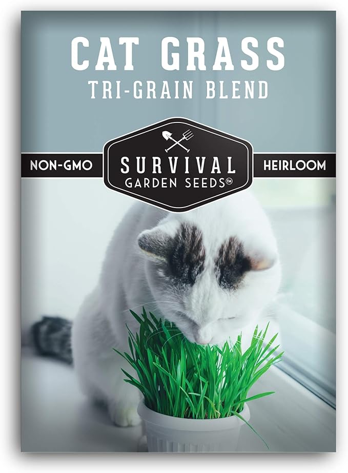 Cat Grass Seed for Planting - Packet with Instructions to Plant & Grow Greens for Your Pet Indoors or Outdoors in a Container or Garden - Non-GMO Heirloom Variety - Survival Garden Seeds