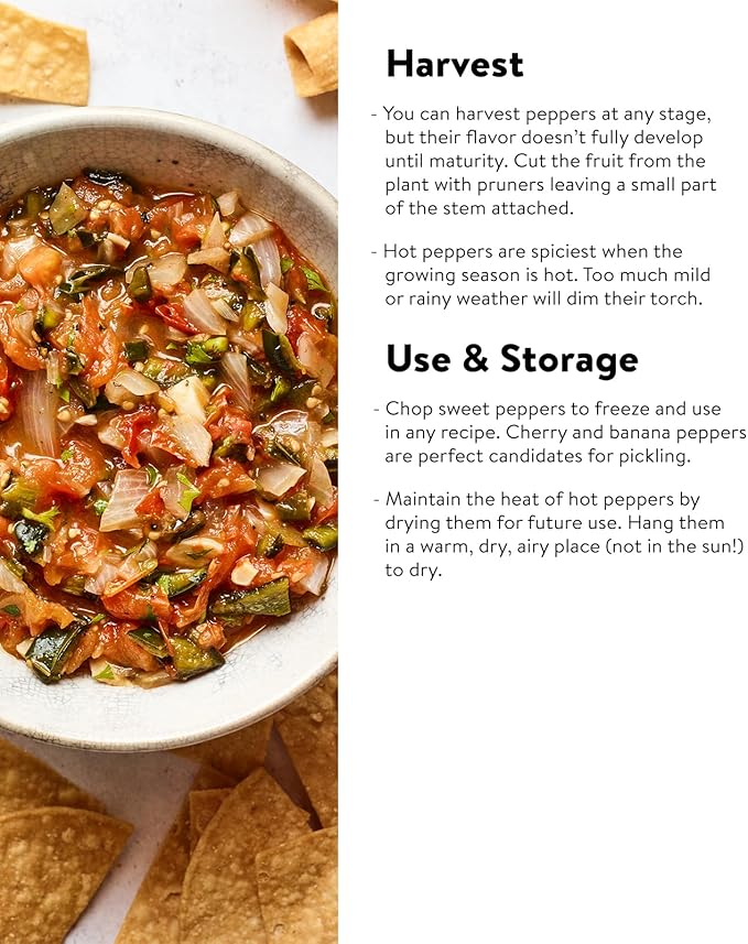 Burpee Organic Pepperoncini Greek Hot Pepper Seeds | 300 Non-GMO Seeds for Planting Home Garden, 1 Seed Packet | Heirloom Pepper Seeds for Growing Garden Plants | Mildly Hot Light Yellow Peppers