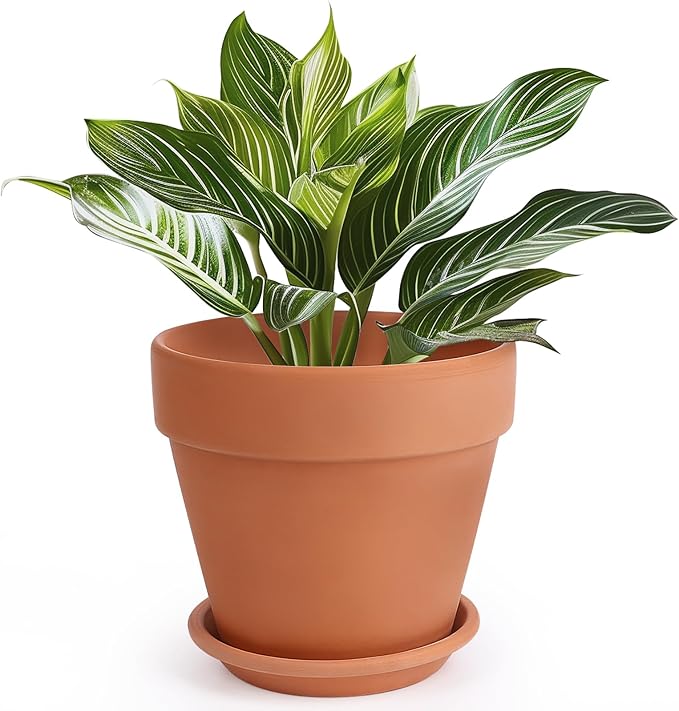 INGOFIN Terracotta Pot with Saucer - 10 Inch Ceramic Clay Pot for Plants with Drainage Hole, Terra Cotta Pot with Tray for Indoor Outdoor Plants