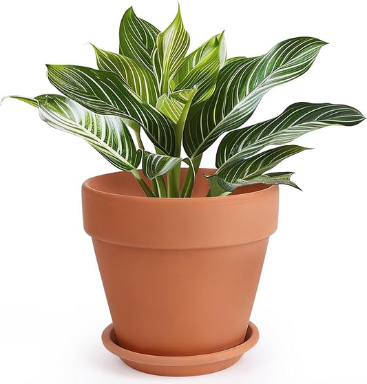 INGOFIN Terracotta Pot with Saucer - 10 Inch Ceramic Clay Pot for Plants with Drainage Hole, Terra Cotta Pot with Tray for Indoor Outdoor Plants