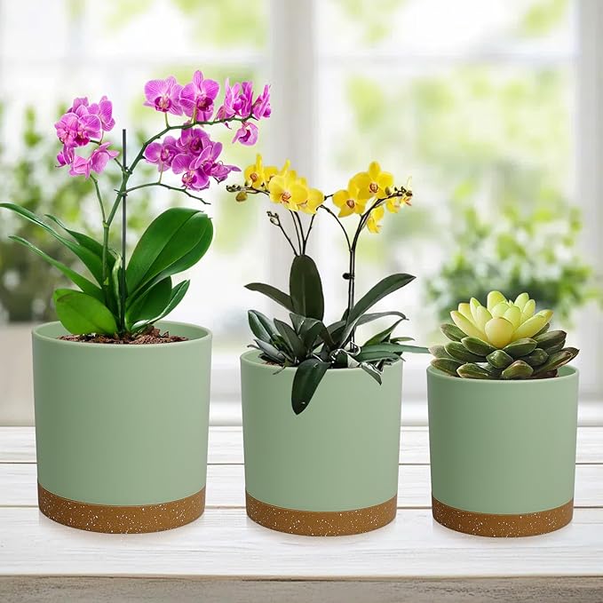 3 Pack 6/5/4 inch Cylindrical Flower Pots, Modern Small Round Plastic Plant Pots with Drainage Holes & Saucers, Clean and Refined Planter Pots for Outdoor, Indoor & Office Decor (Green Brown)