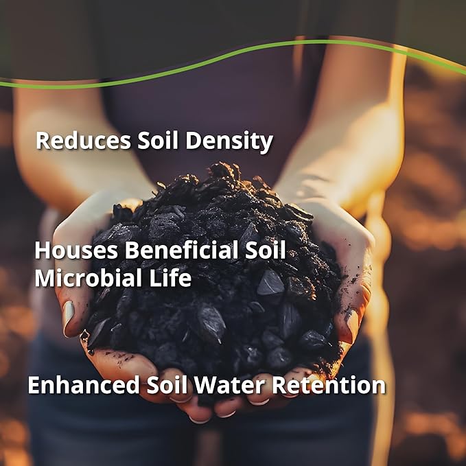 Char Bliss (1 Cubic Ft) - Organic Biochar for Plants - OMRI-Listed Biochar Soil Amendment Organic - Bio Char for Plants - Horticultural Charcoal for Plants, Potting Soil, Garden Soil, & Potting Mixes