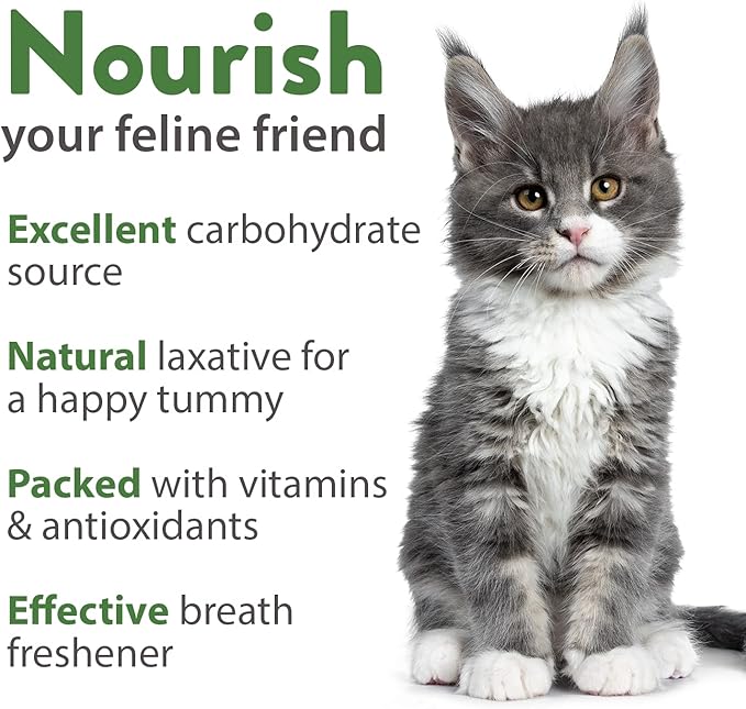 HOME GROWN 3200+ Cat Grass β π‘π’π‘-ππ π’ π¨π¦π Grown Catnip, Alfalfa, Oat, Cat Grass Mix β Indoor Cat Grass Kit Refill β High-Germination Pet Grass for Hairball Relief & Digestion