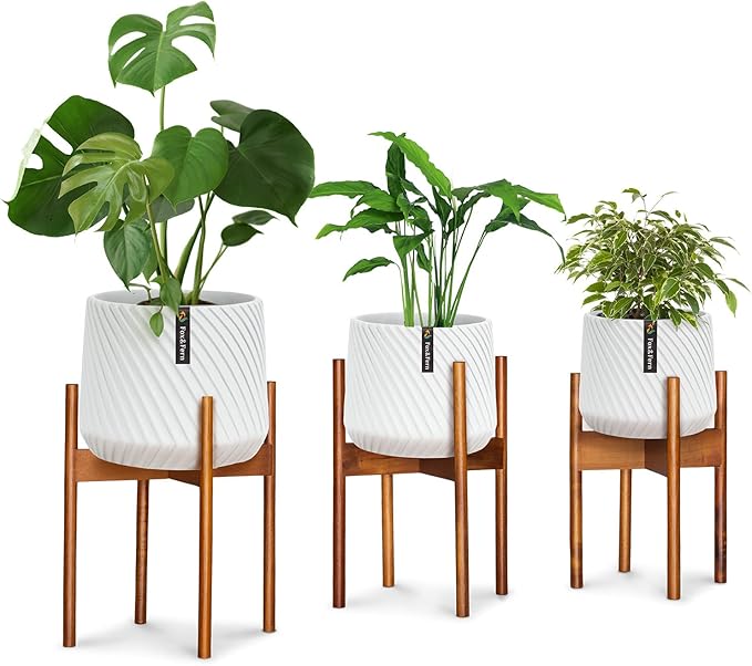 Fox & Fern Set of 3 Mid Century Plant Stand Indoor — Modern Raised Flower Pot Holder for 8, 10 & 11.8 Inch Planters (Not Included); Plug In Design; Two Height Options; Easy to Assemble - Acacia