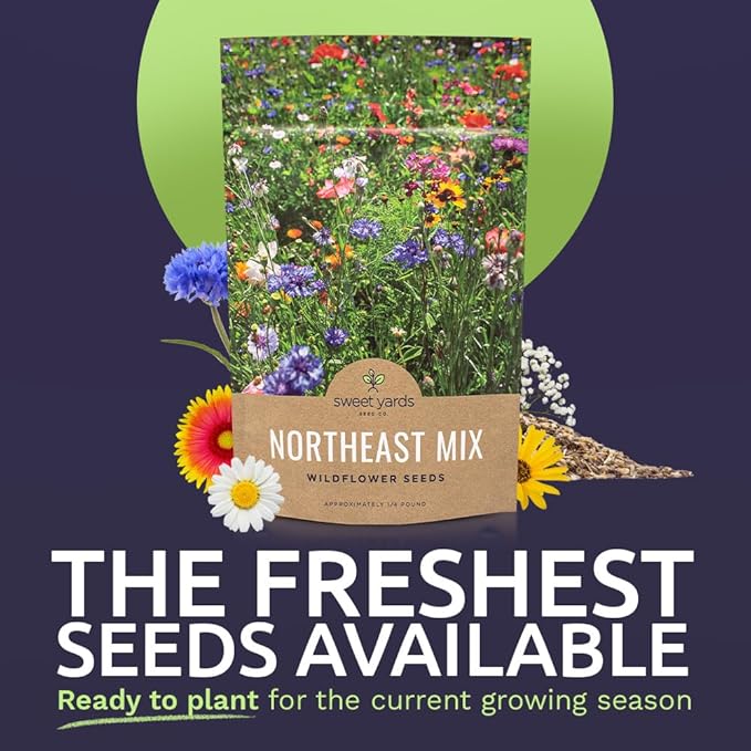 Northeast Wildflower Seeds - Bulk 1/4 Pound Bag - Over 30,000 Native Seeds - Open Pollinated and Non GMO Varieties for New York, Virginia, Pennsylvania, Maine and More!