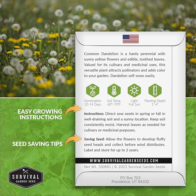 Survival Garden Seeds Common Dandelion Seed - 3 Packs with Instructions to Plant & Grow Nutritious Medicinal Plants & Leafy Greens in Your Home Herb or Vegetable Garden - Non-GMO Heirloom Variety