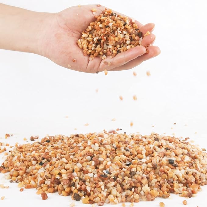 3lb Coarse Sand Stone-Succulents and Cactus Bonsai DIY Projects Rocks,Decorative Gravel for Plants and Vases Fillers,Terrarium,Fairy Gardening,Natural Stone Top Dressing for Potted Plants (2mm-4mm)