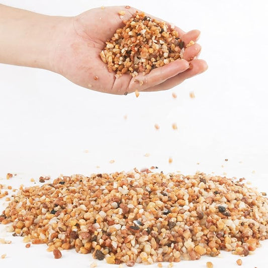 3lb Coarse Sand Stone-Succulents and Cactus Bonsai DIY Projects Rocks,Decorative Gravel for Plants and Vases Fillers,Terrarium,Fairy Gardening,Natural Stone Top Dressing for Potted Plants (2mm-4mm)