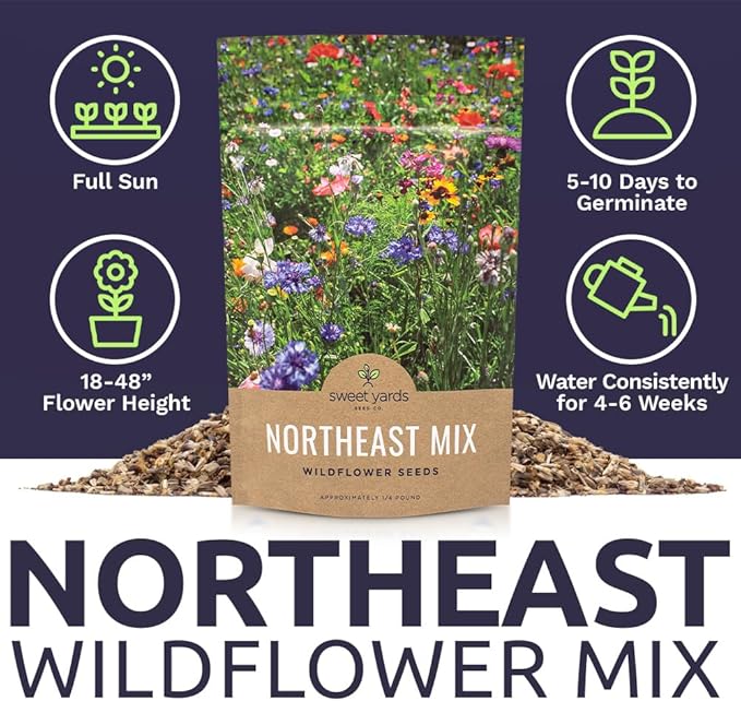 Northeast Wildflower Seeds - Bulk 1/4 Pound Bag - Over 30,000 Native Seeds - Open Pollinated and Non GMO Varieties for New York, Virginia, Pennsylvania, Maine and More!