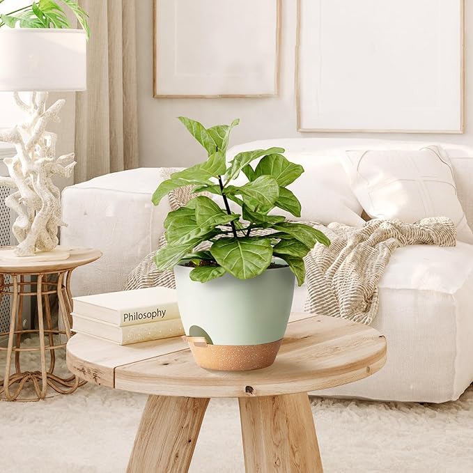 Indoor Plant Pots With Drainage Holes and Saucers Planting Pots for All HousePlants Green Plastic Flower Pots with Drainage Hole Self Watering Plant Pot Gift Idea For Home Decor Succulent Pots