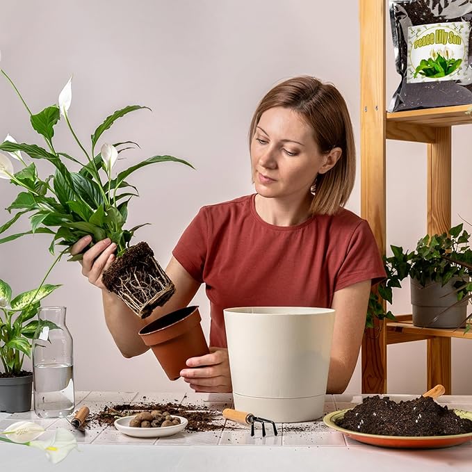 Organic Peace Lily Soil Mix 1qt, Indoor Plants Potting Mix for Planting, Growing, or Repotting Peace Lily Plants, Grow Healthy houseplants Indoors