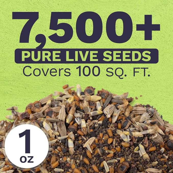 Northeast Wildflower Seeds - Extra Large 1 Ounce Packet - Over 7,500 Native Seeds - Open Pollinated and Non GMO Varieties for New York, Virginia, Pennsylvania, Maine and More!