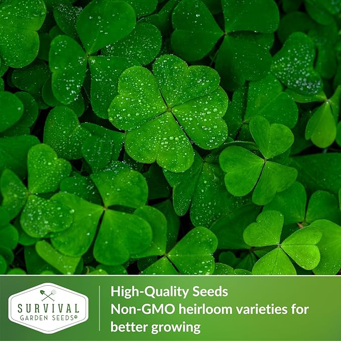 5 Packs Clover Microgreens Seeds for Sprouting and Growing - Sprout Green Leafy Micro Herb Plants Indoors - Grow A Mini Windowsill Garden - Non-GMO Heirloom