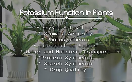 Greenway Biotech Potassium Chloride 0-0-62 Fertilizer - Muriate of Potash | 100% Water Soluble - Improves Plant's Root Growth Fertilizers Ideal for Soil and Hydroponics - 3 Pounds